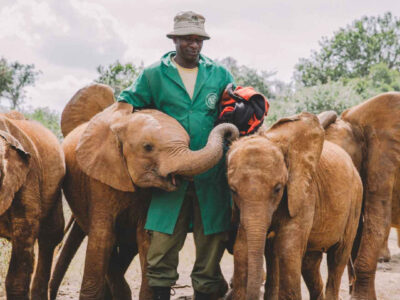 Embakasi Sheldrick Elephant Nursery